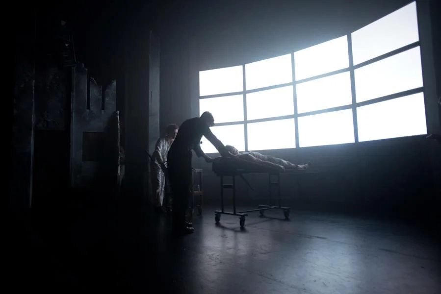  1984  after George Orwell, adapted by Nelle Lee &amp; Nick Skubij  Shake &amp; Stir, Queensland Performing Arts Centre, 2012  Director  Michael Futcher  Assistant Director  Heather Fairbairn  Designer  Josh McIntosh  Lighting Designer  Jason Glenwri