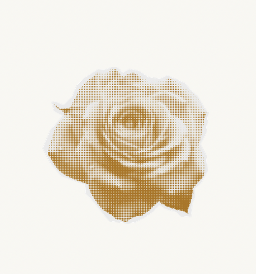 Model Loyalty Membership