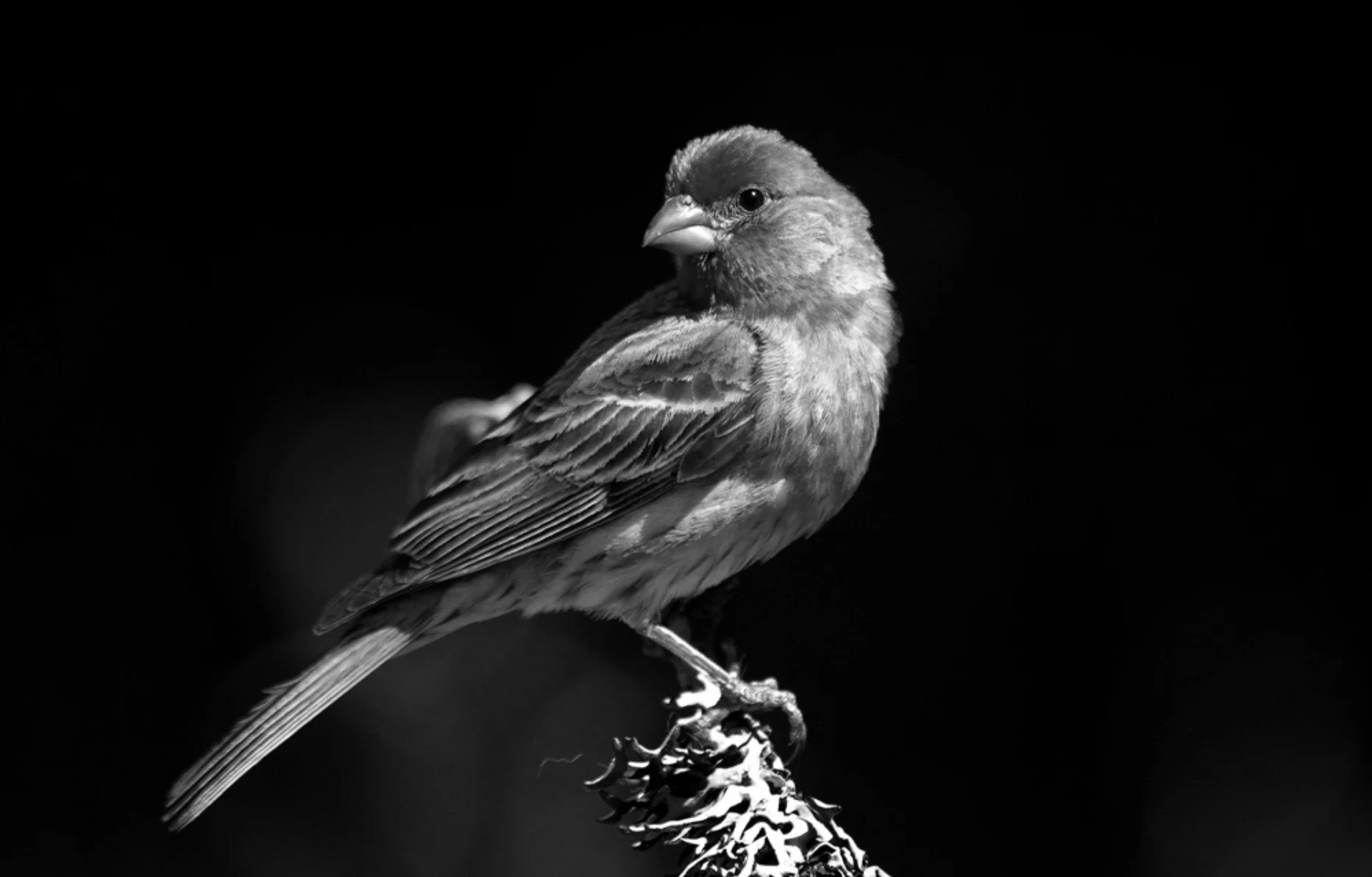 Dear Young Woman: Wake up!  