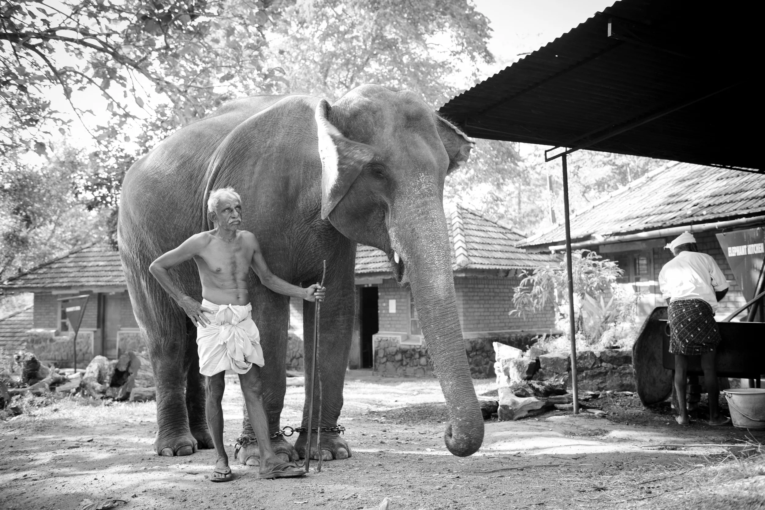 konni (11 of 22).jpg