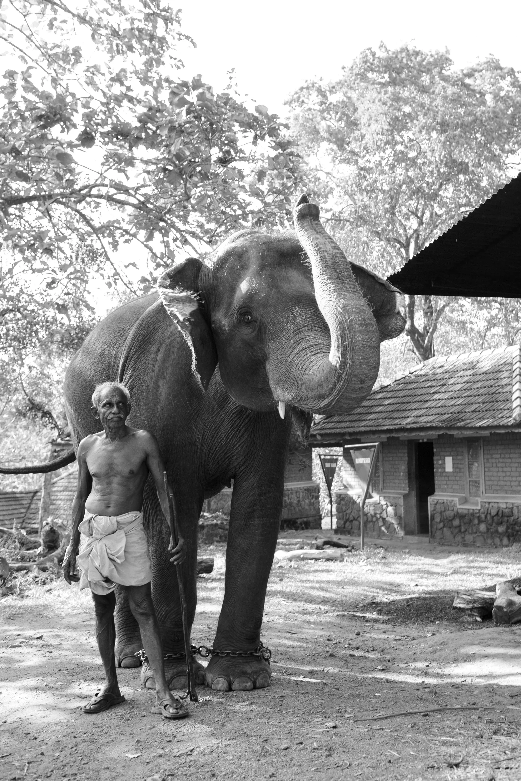 konni (12 of 22).jpg