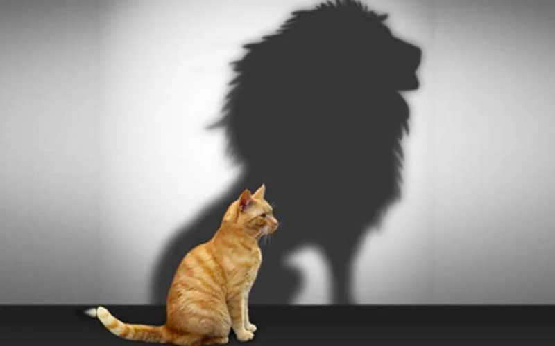 Self-esteem and Self-worth meditation