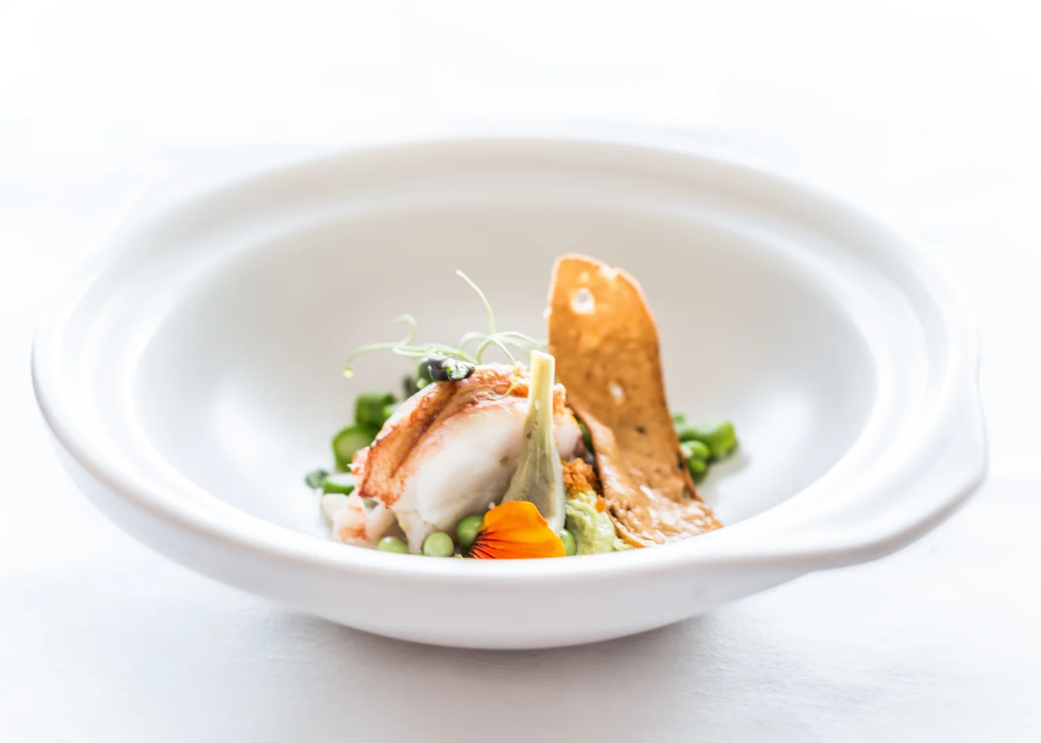 Taste Degustation