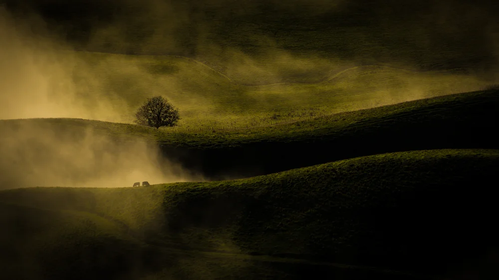 A Misty Morning