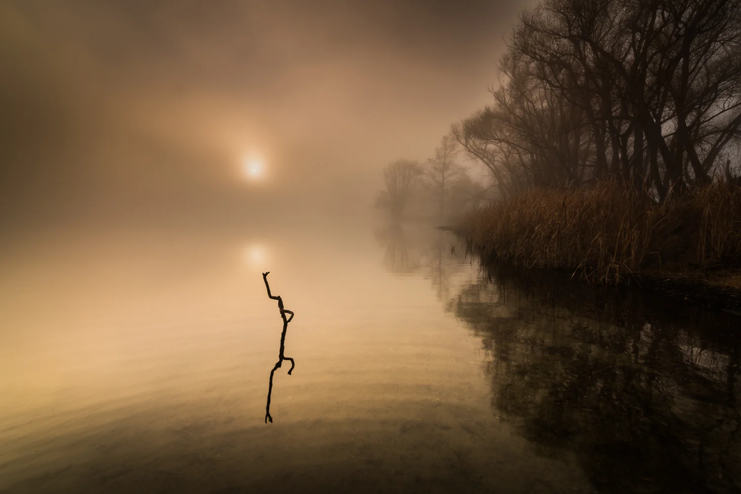 A stick, the sun & a whole lot of fog: Lake Tutira