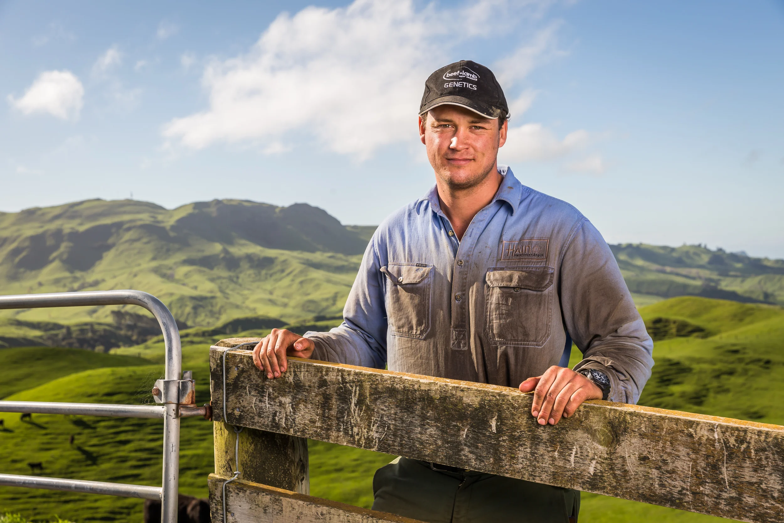 Beef & Lamb NZ - Max