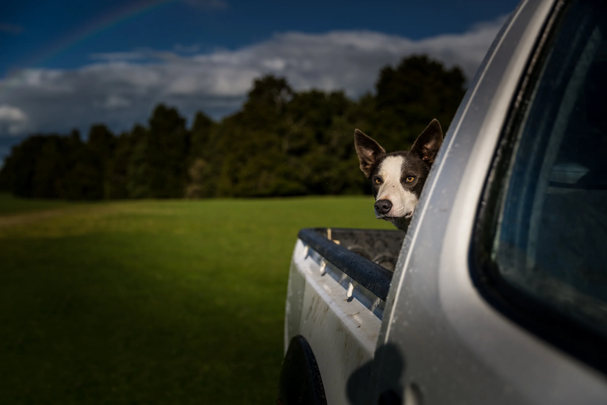 _H4A0597-Edit.jpg