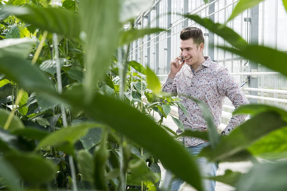 Jonge helden in het groen