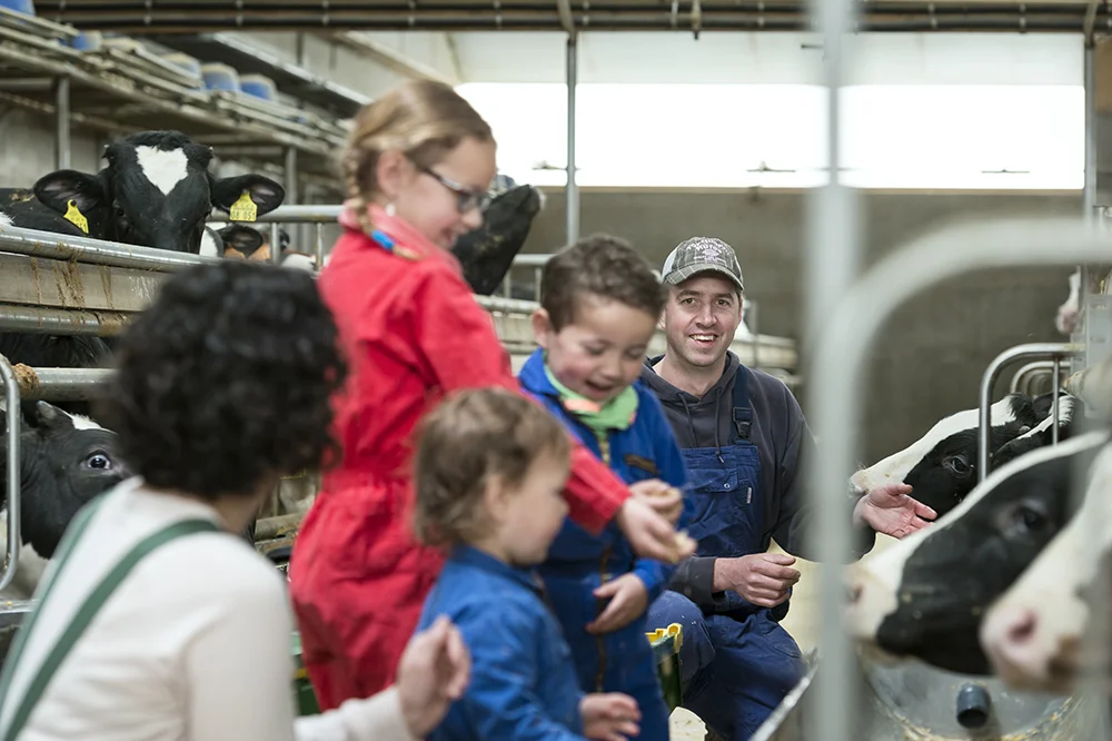 Jonge helden in het groen