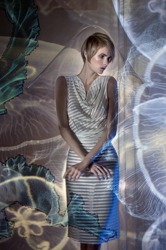 Transparency by Cath Hermans5.5.jpg