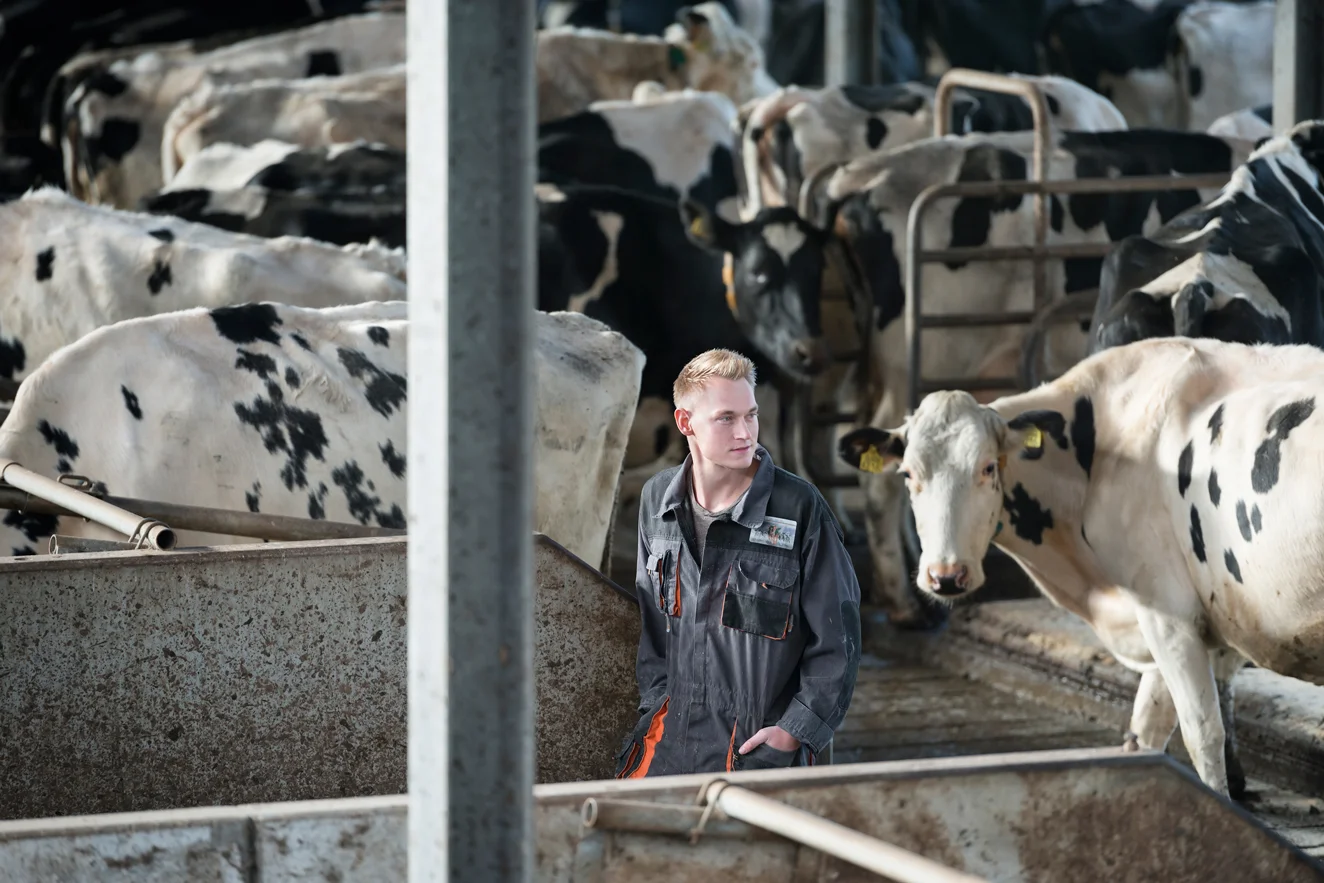 Jonge Helden in het Groen