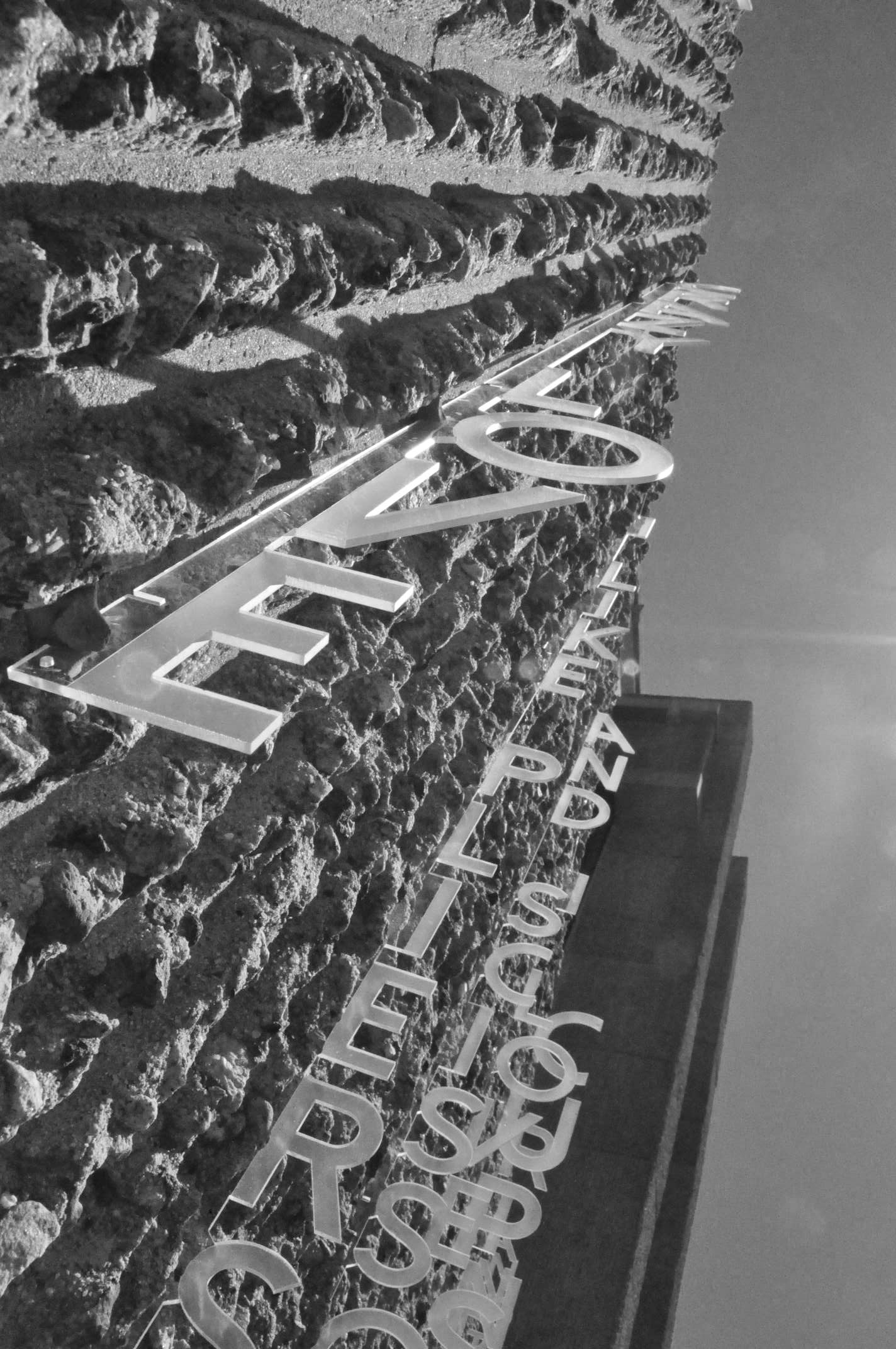 DSC_0139BW.jpg