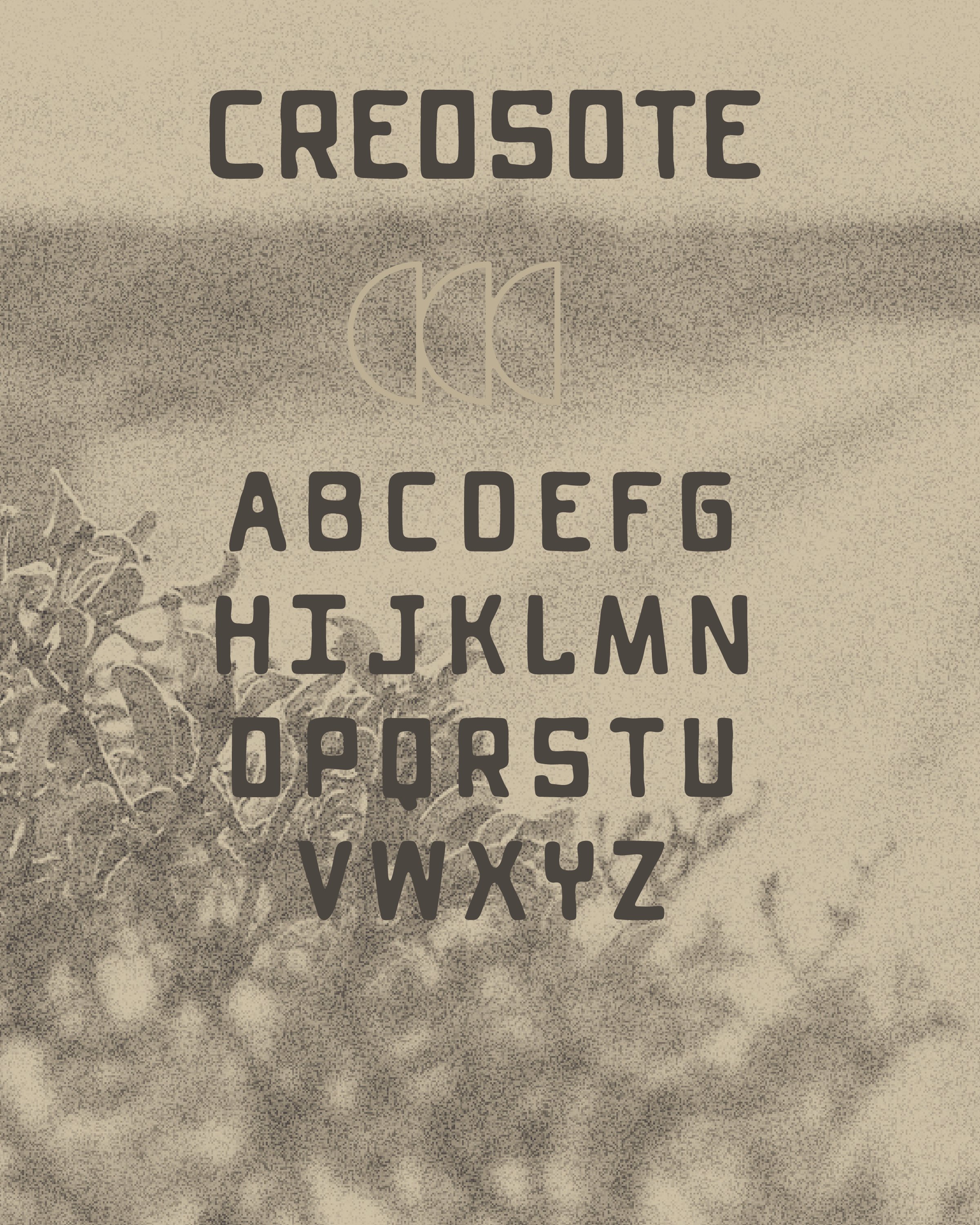 fontbundle1-11.jpg