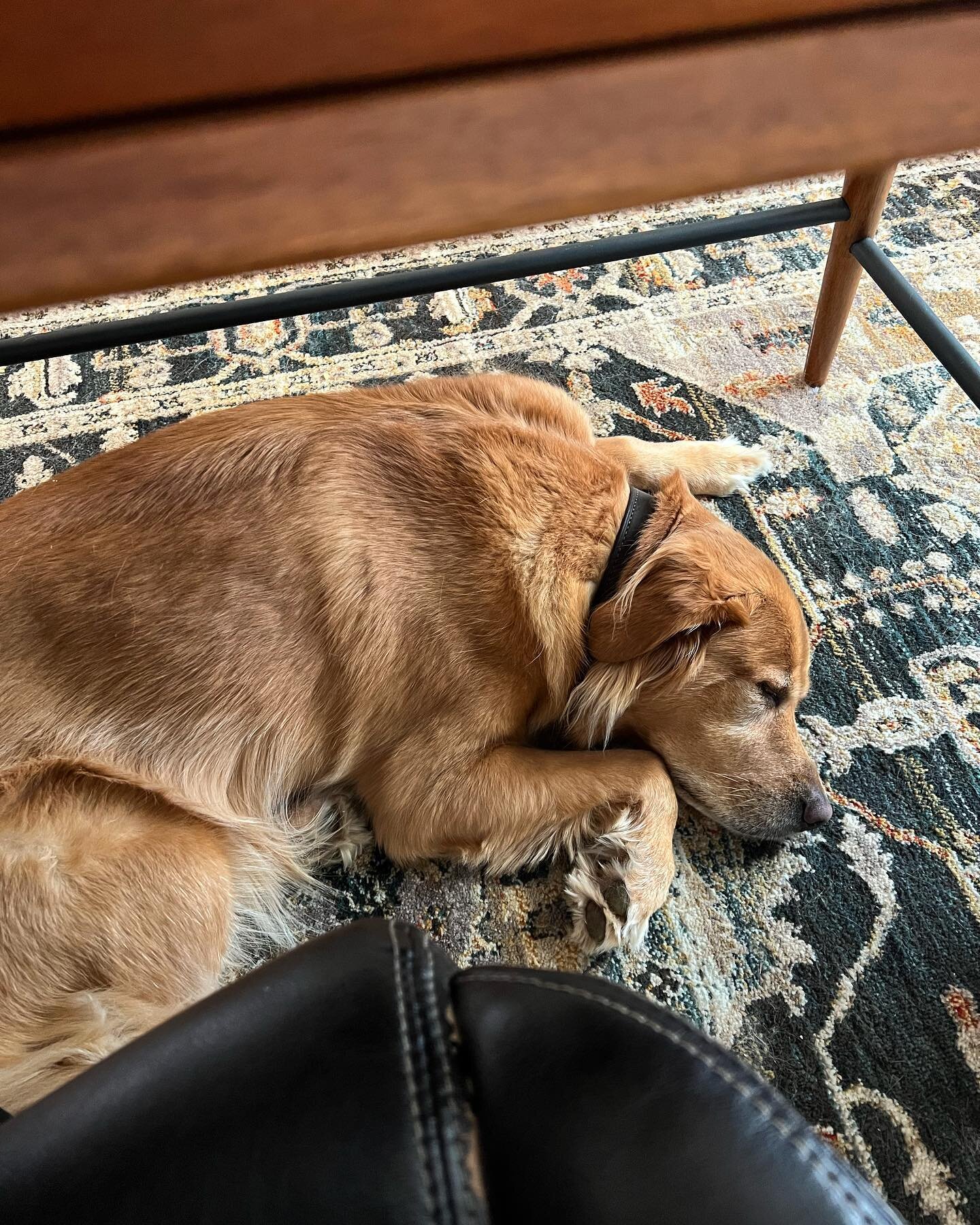 My business partner dreaming up new ideas. 💤