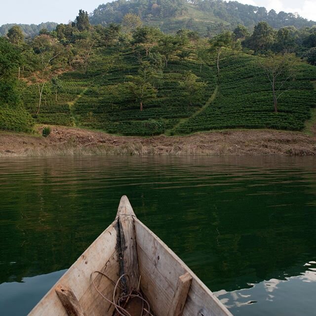 Our garden viewed from the lake. It&rsquo;s not the only way to reach us, but it is the best #lakyrsiew #tea #teagram #northeastindia #khasihills