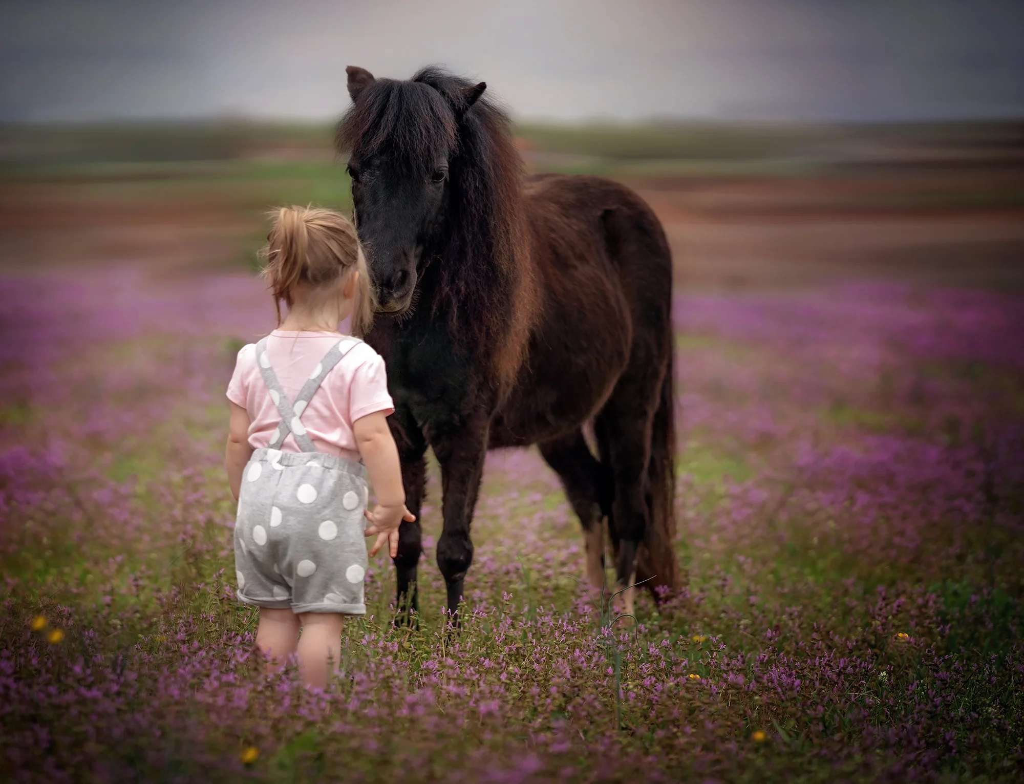 Mini horse, spring shoot