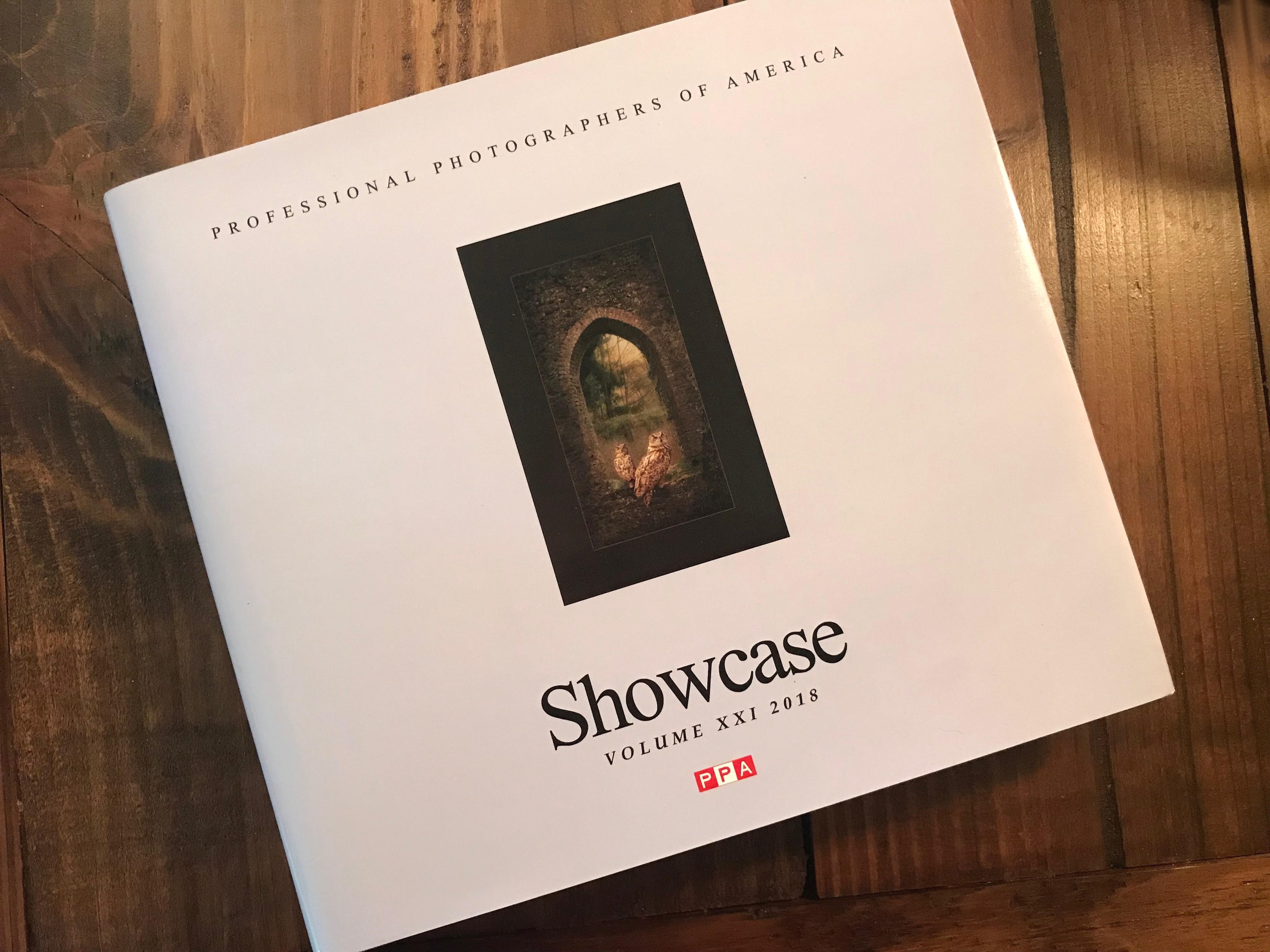 Showcase Annual Collection for Professional Photographer's Association!