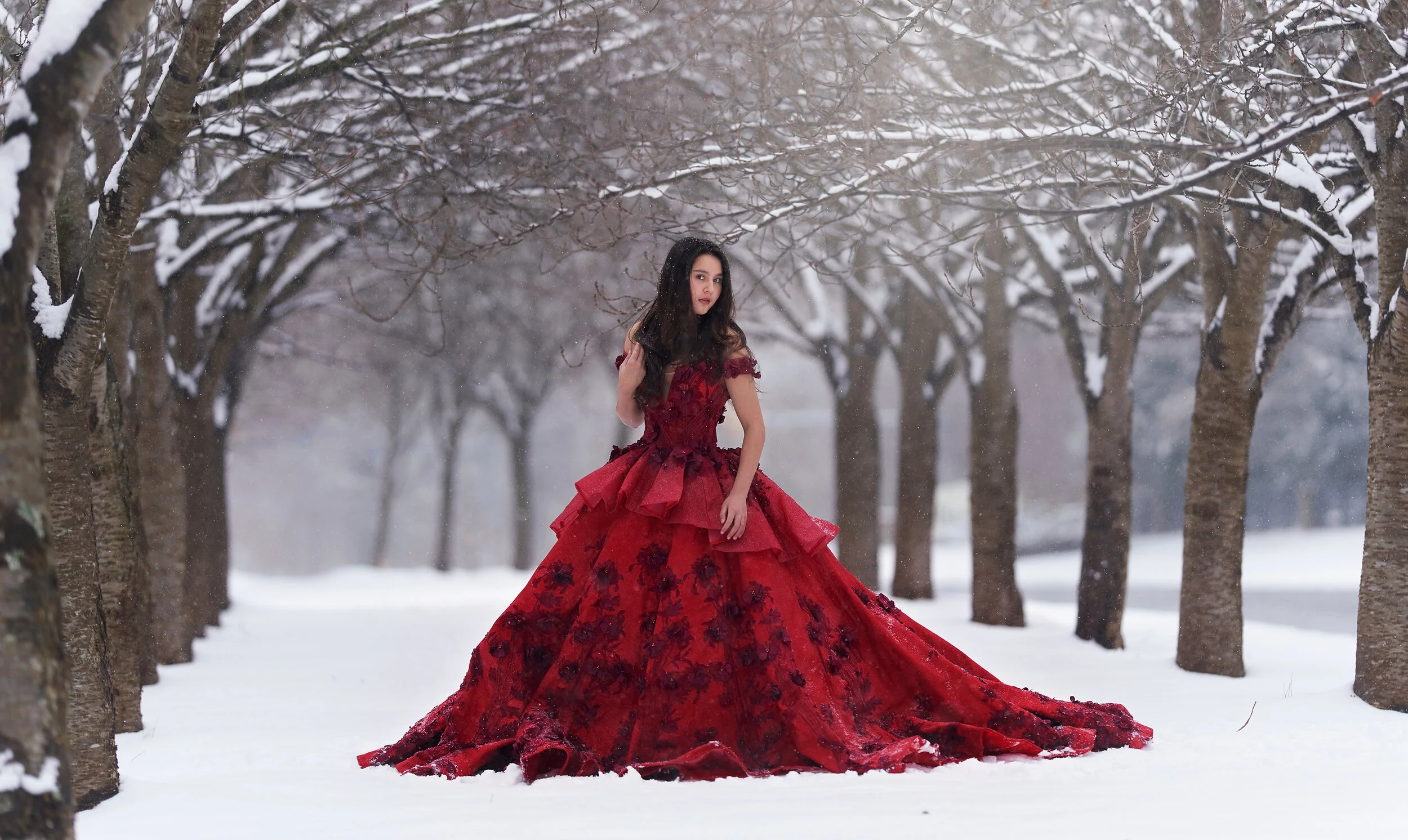 Virginia & Dc Photographer Red 