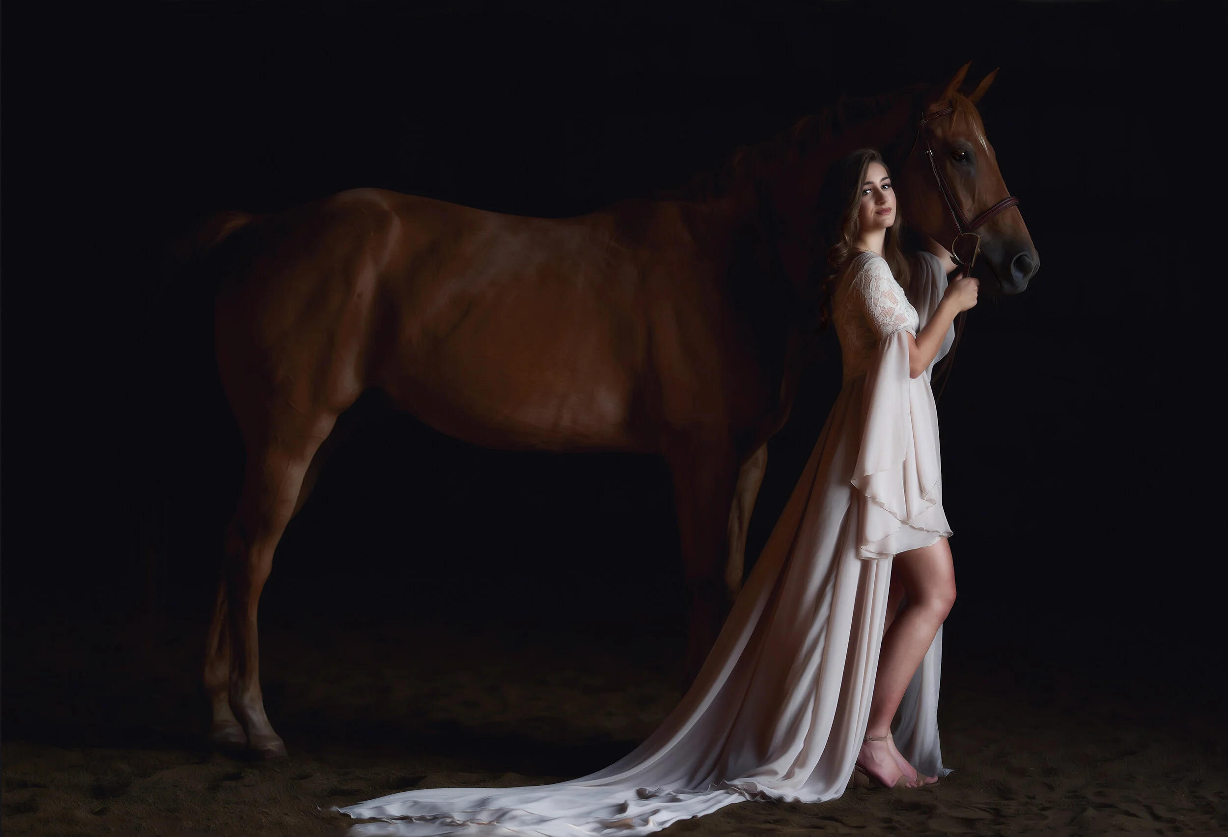 Horse and rider