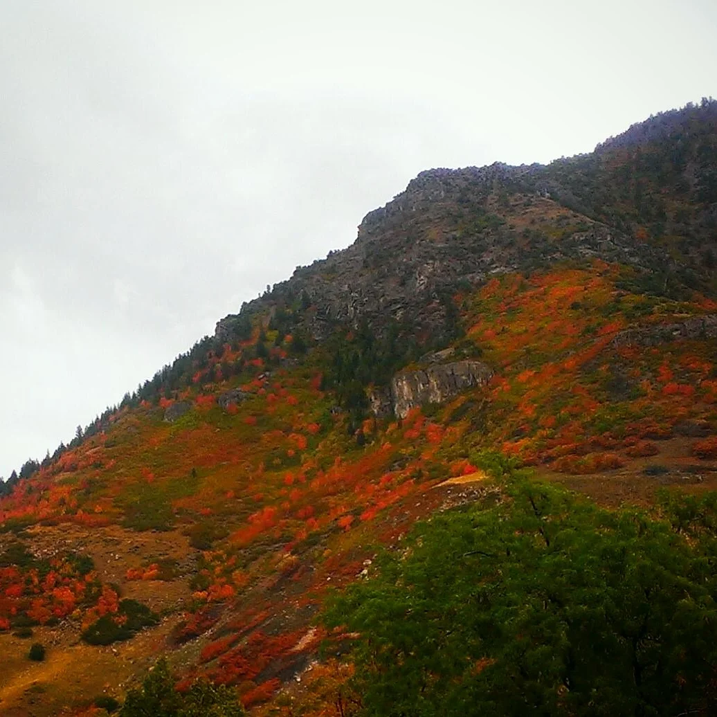 Ogden Outdoor Adventure Show 176 - Harvest Moon