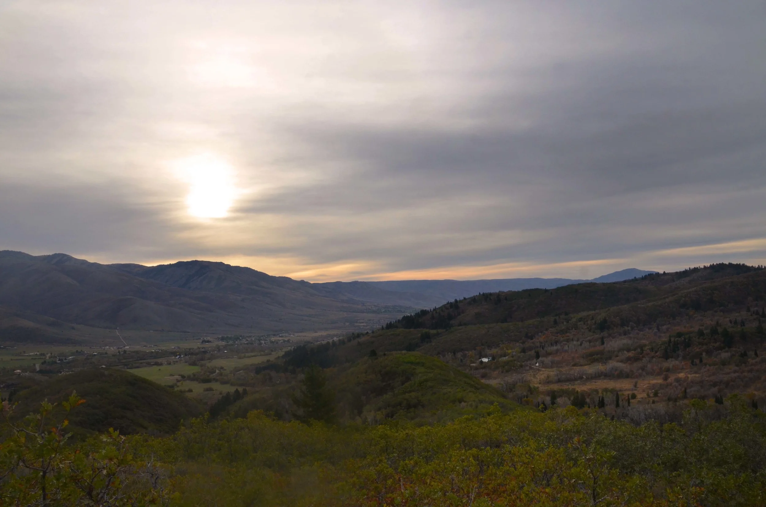View from the start of the Ben Lomond Trail