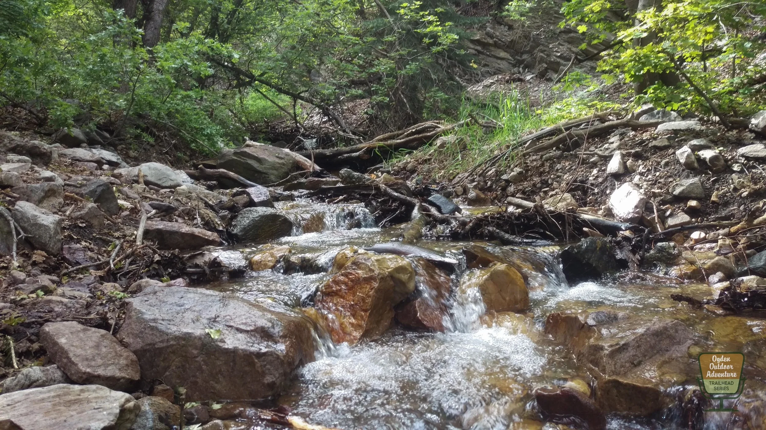 Ogden Outdoor Adventure Show Malans-2.jpg