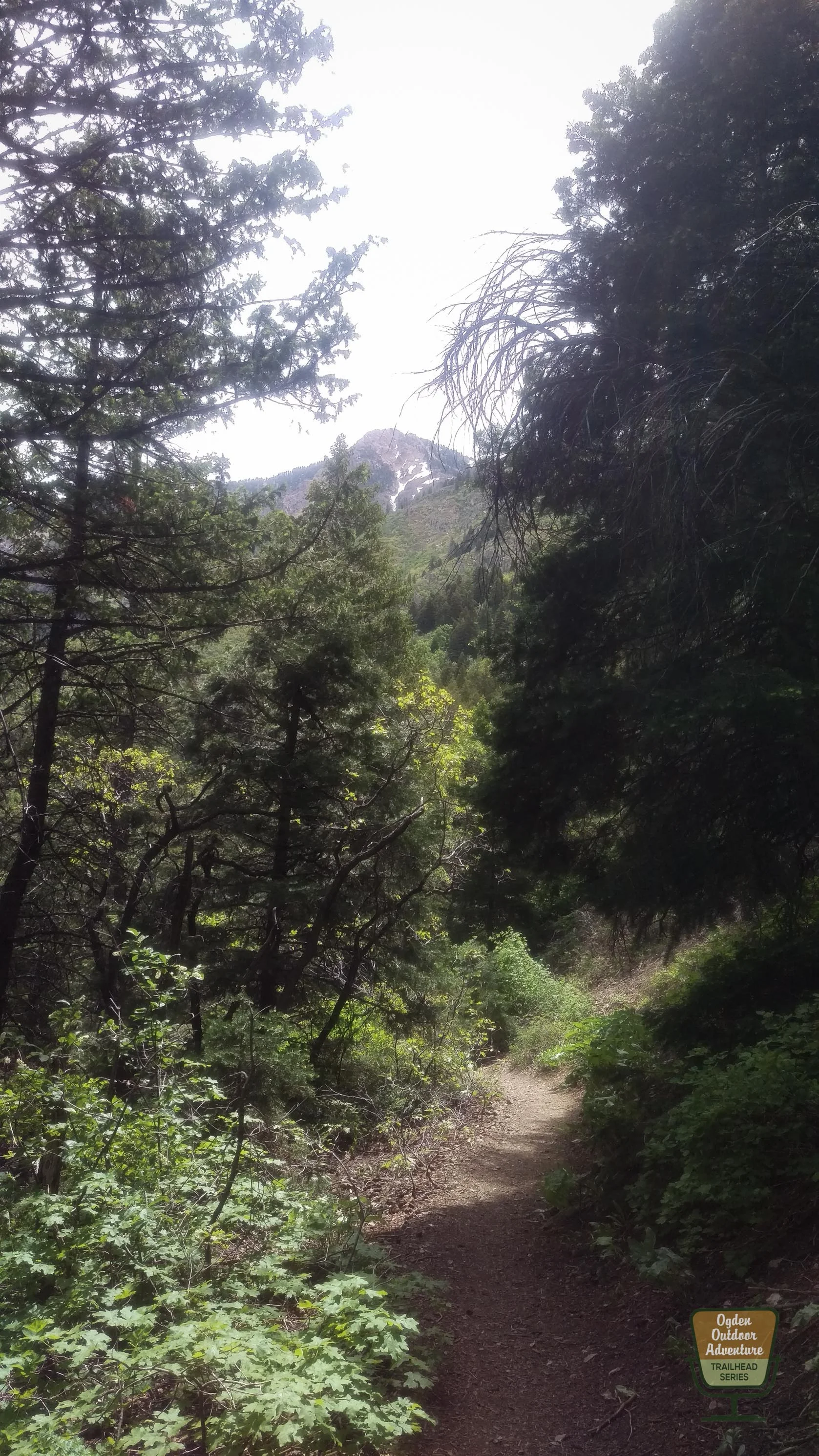 Ogden Outdoor Adventure Show Malans-9.jpg