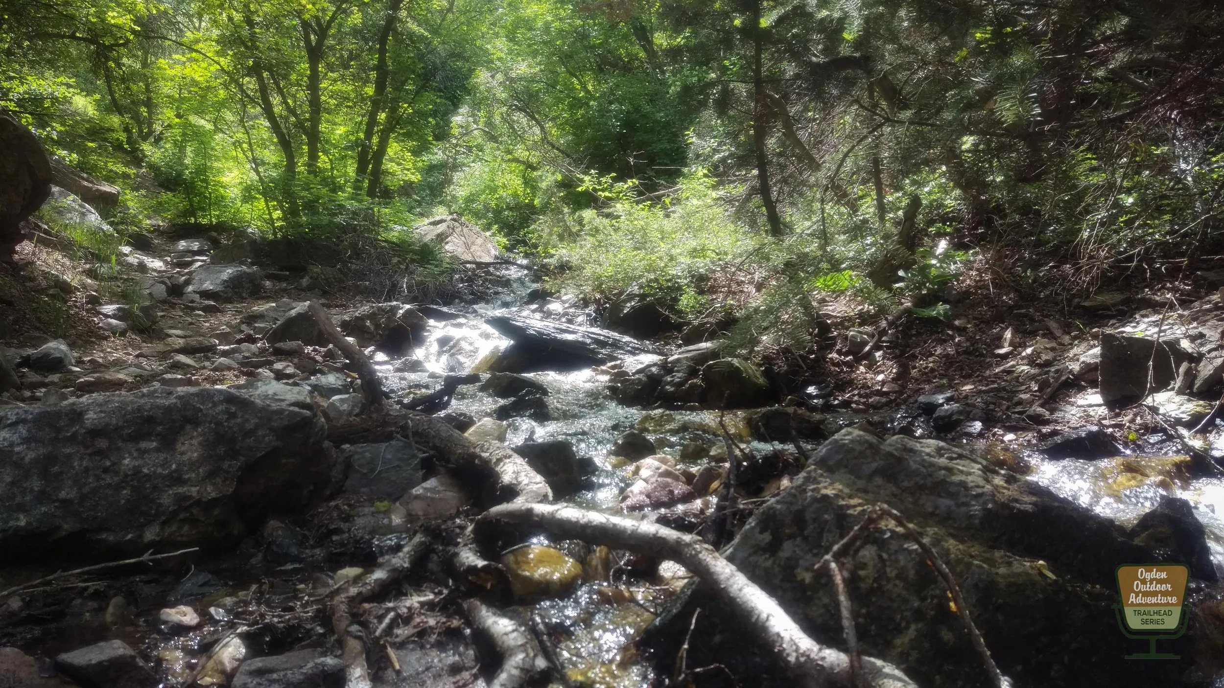 Ogden Outdoor Adventure Show Malans-11.jpg