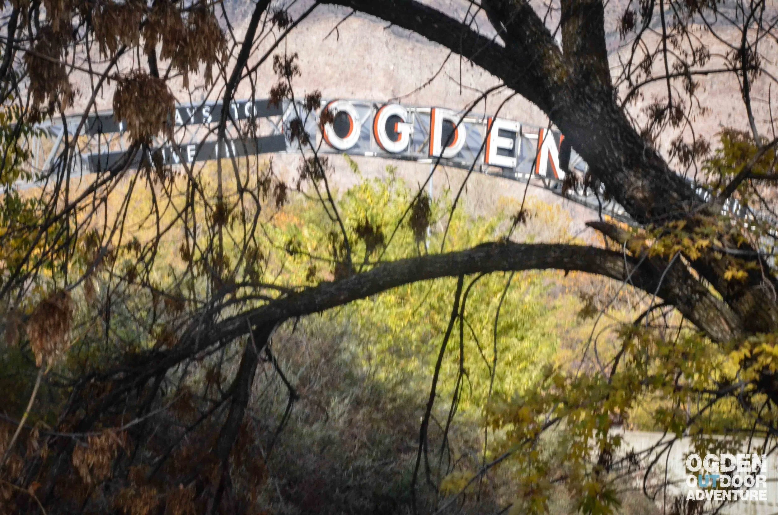 Podcasting down by the Ogden sign.