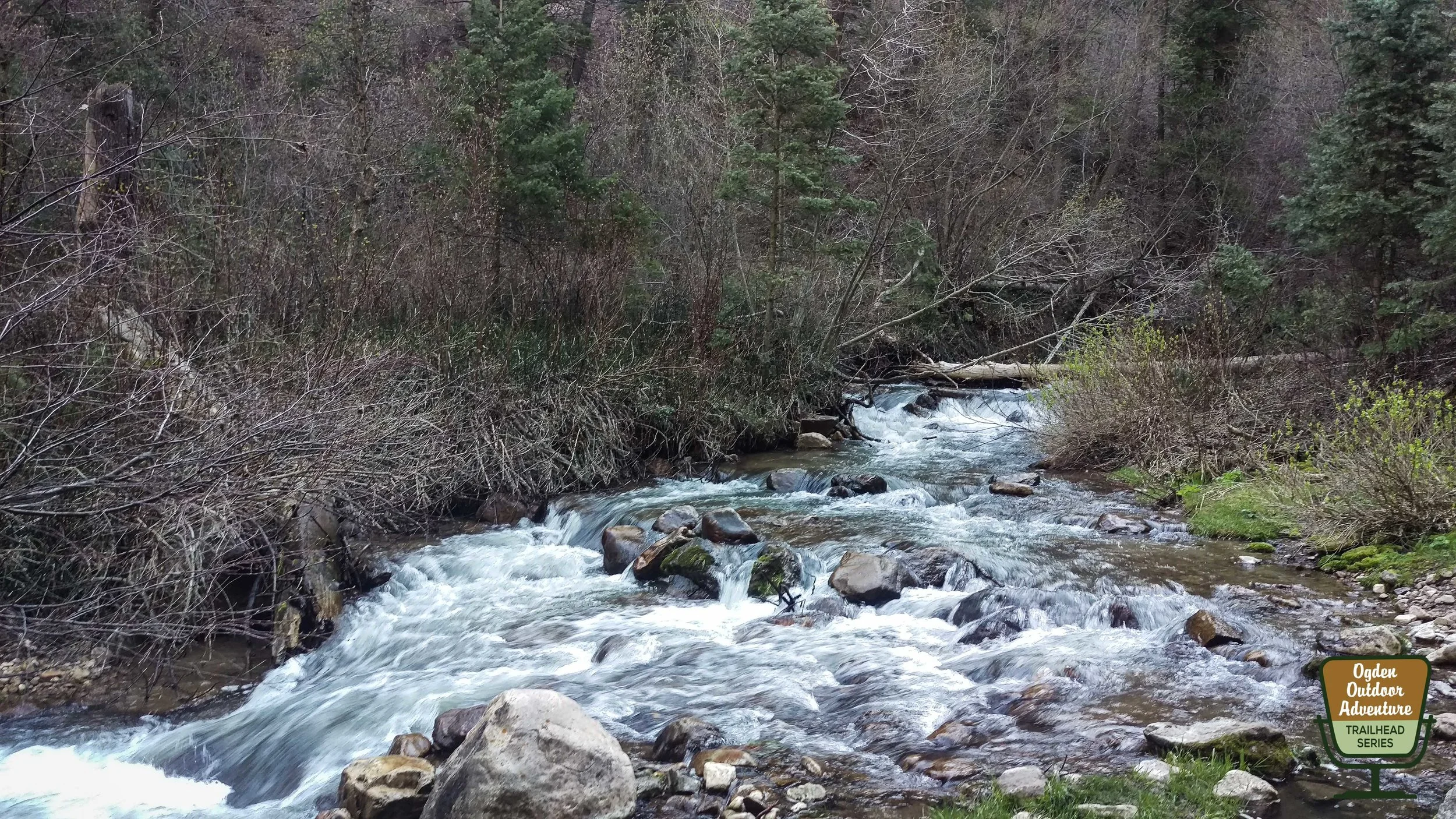 Along Icebox Canyon