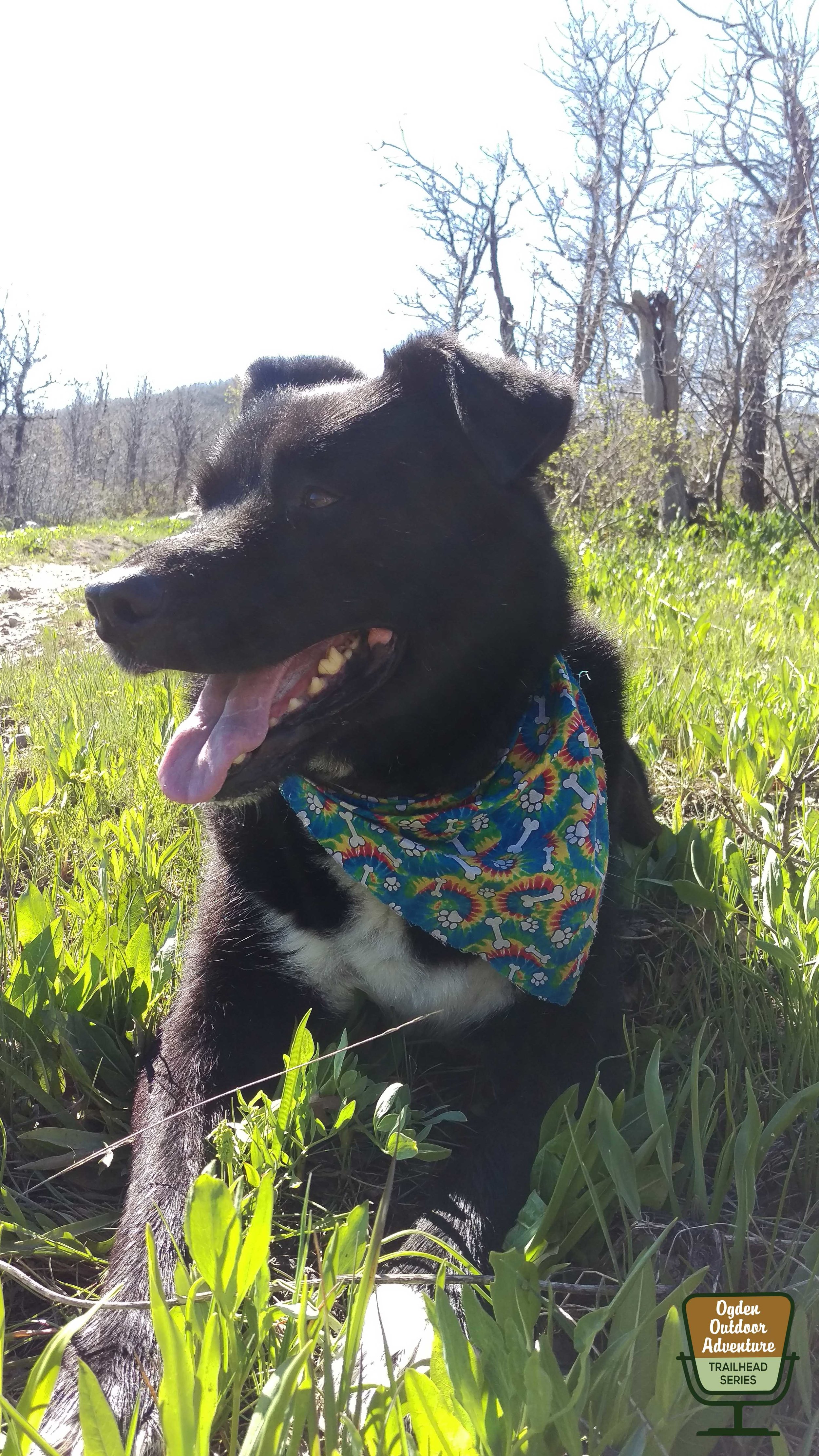 Ogden Outdoor Adventure Show 271-6.jpg