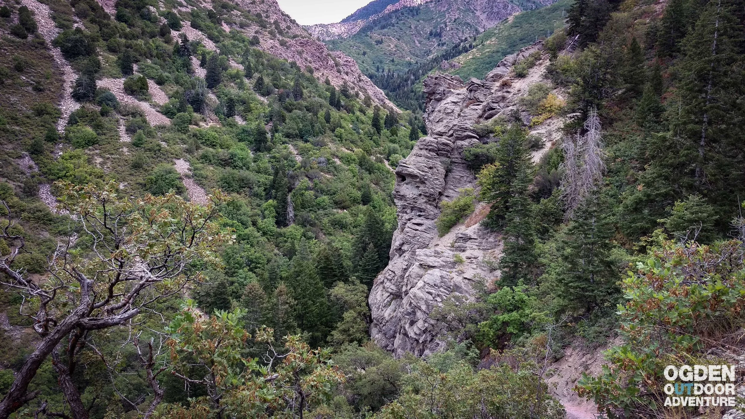 Malan's Basin Trail