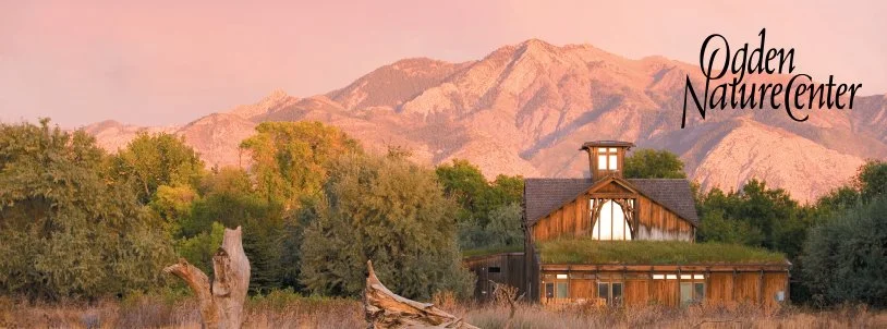 Birds & Brews and Creatures of the Night return to Ogden Nature Center this fall. Image: Ogden Nature Center Facebook Page