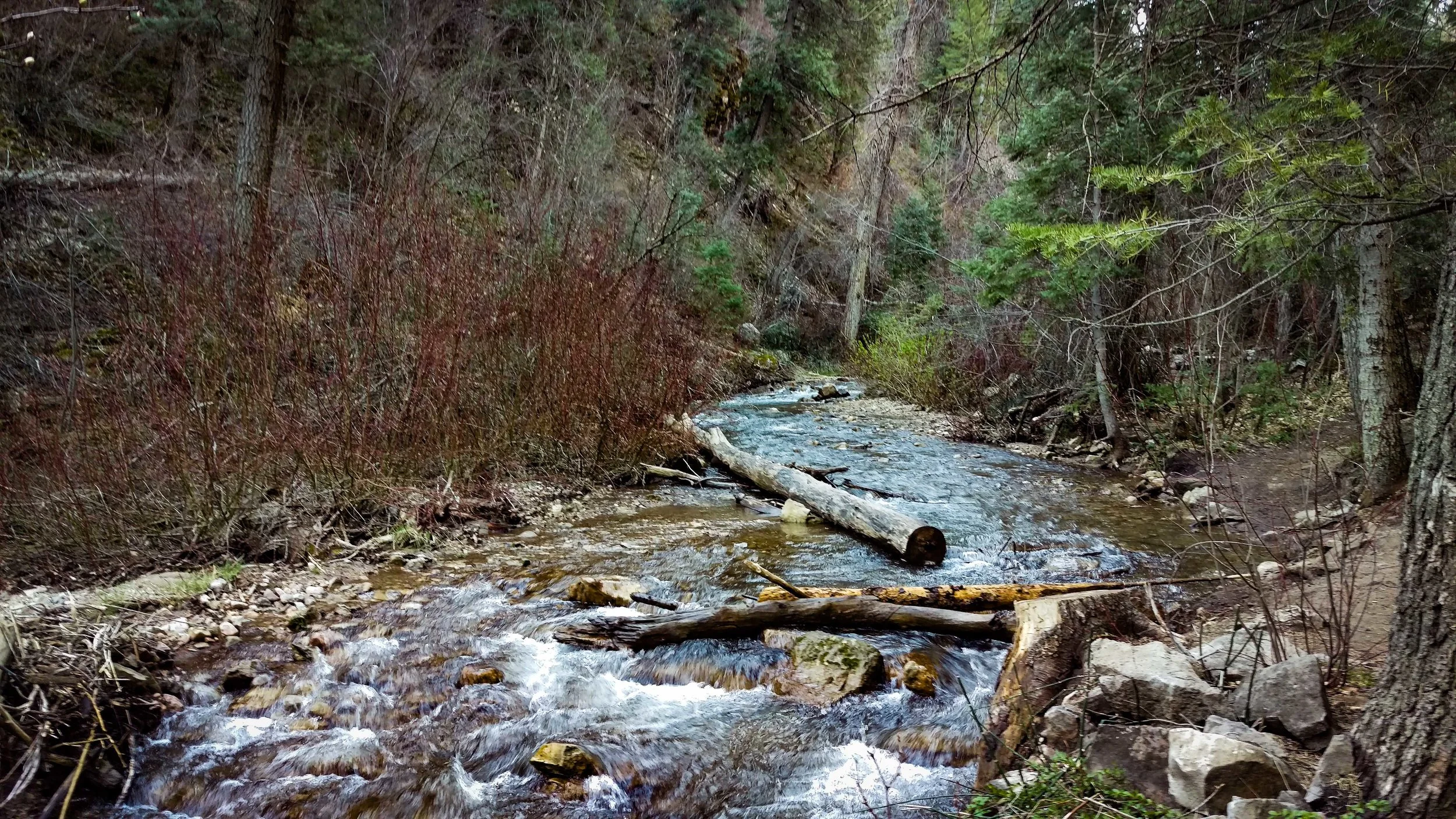 Winter run-off along side the trail in Icebox Canyon. The trail up to the second bridge is dry.