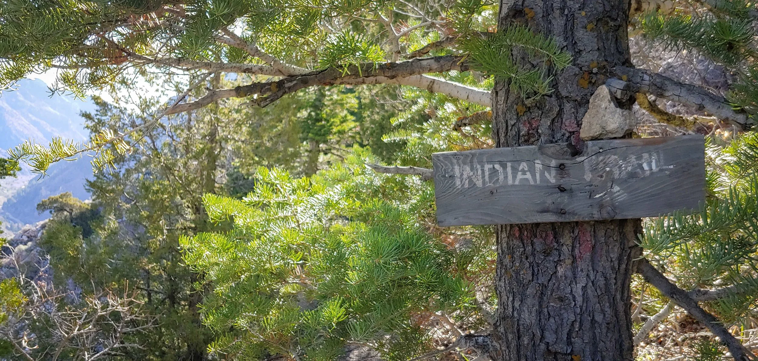 OOA Show 329 - Indian Trail & Leathers feat2-1.jpg