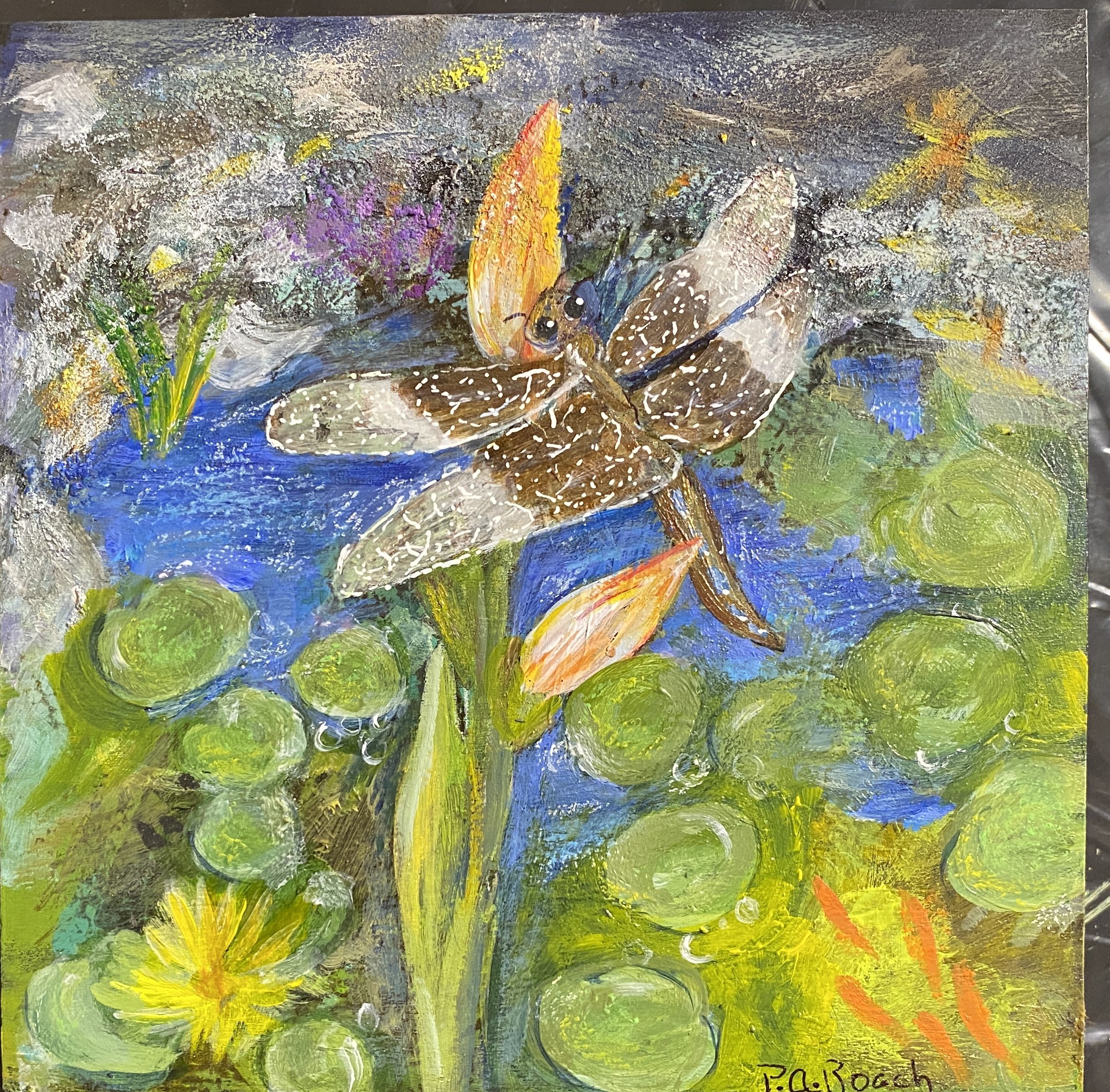 The Pond