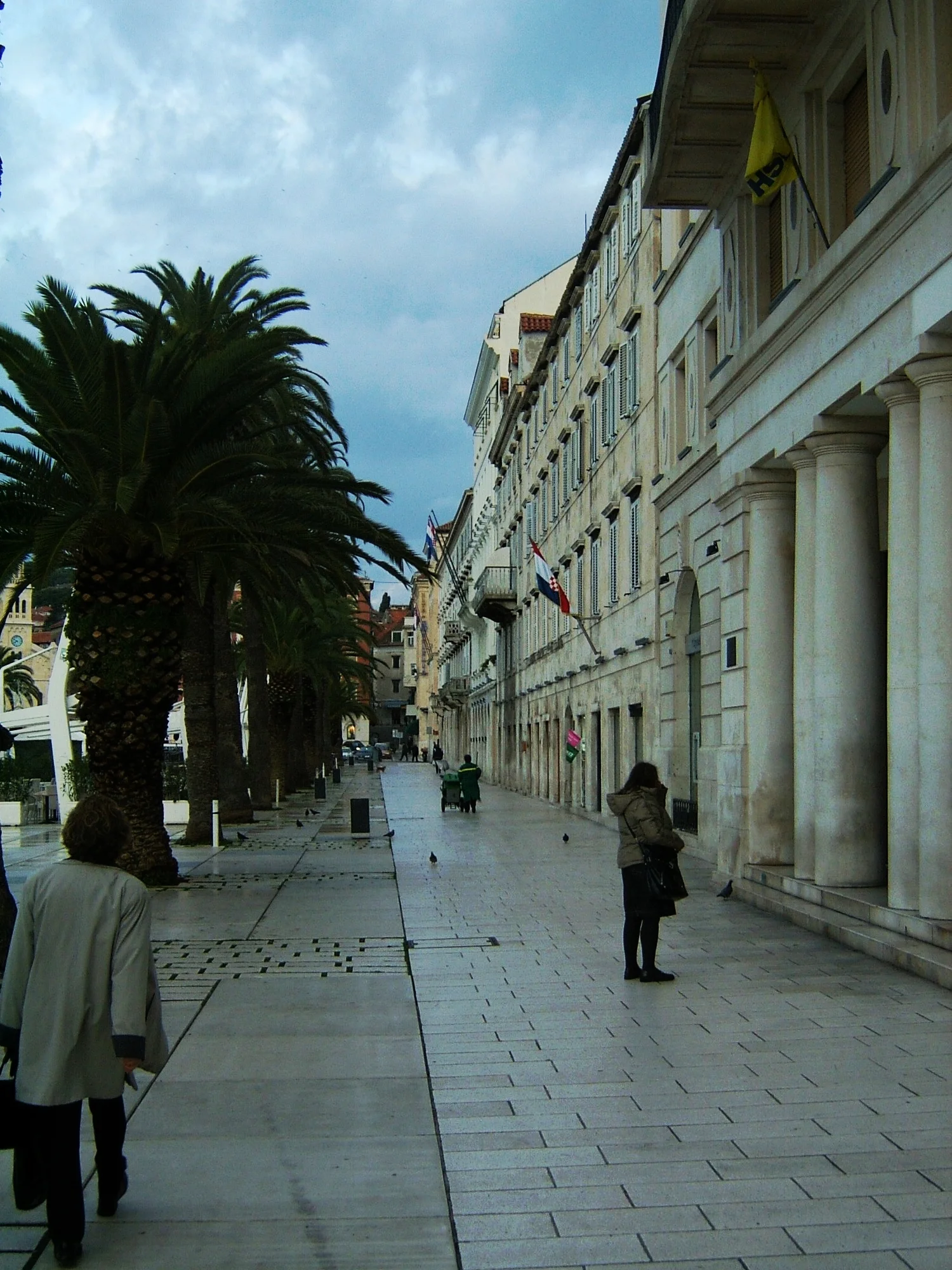 DCAM0439.JPG