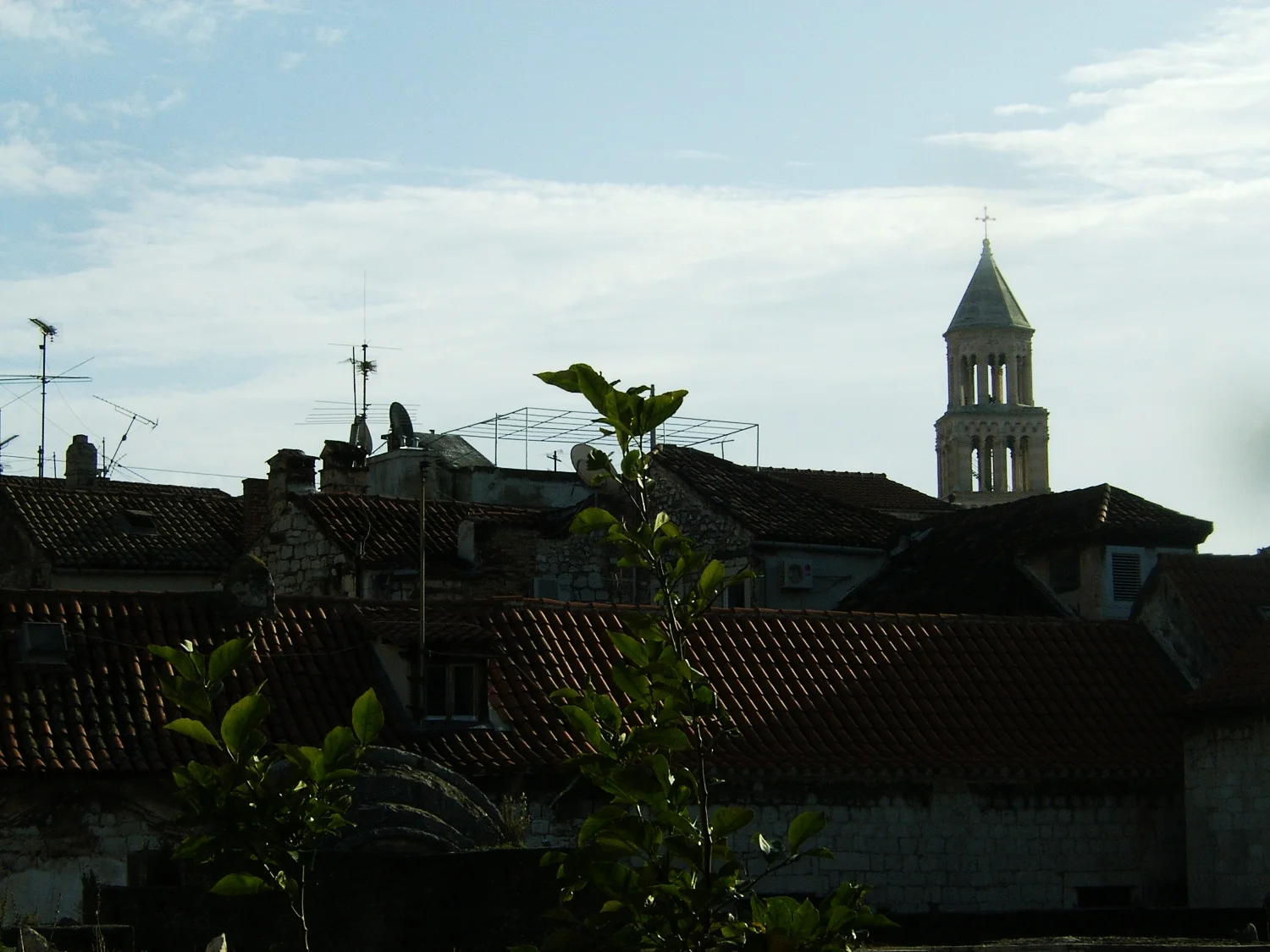 DCAM0450.JPG