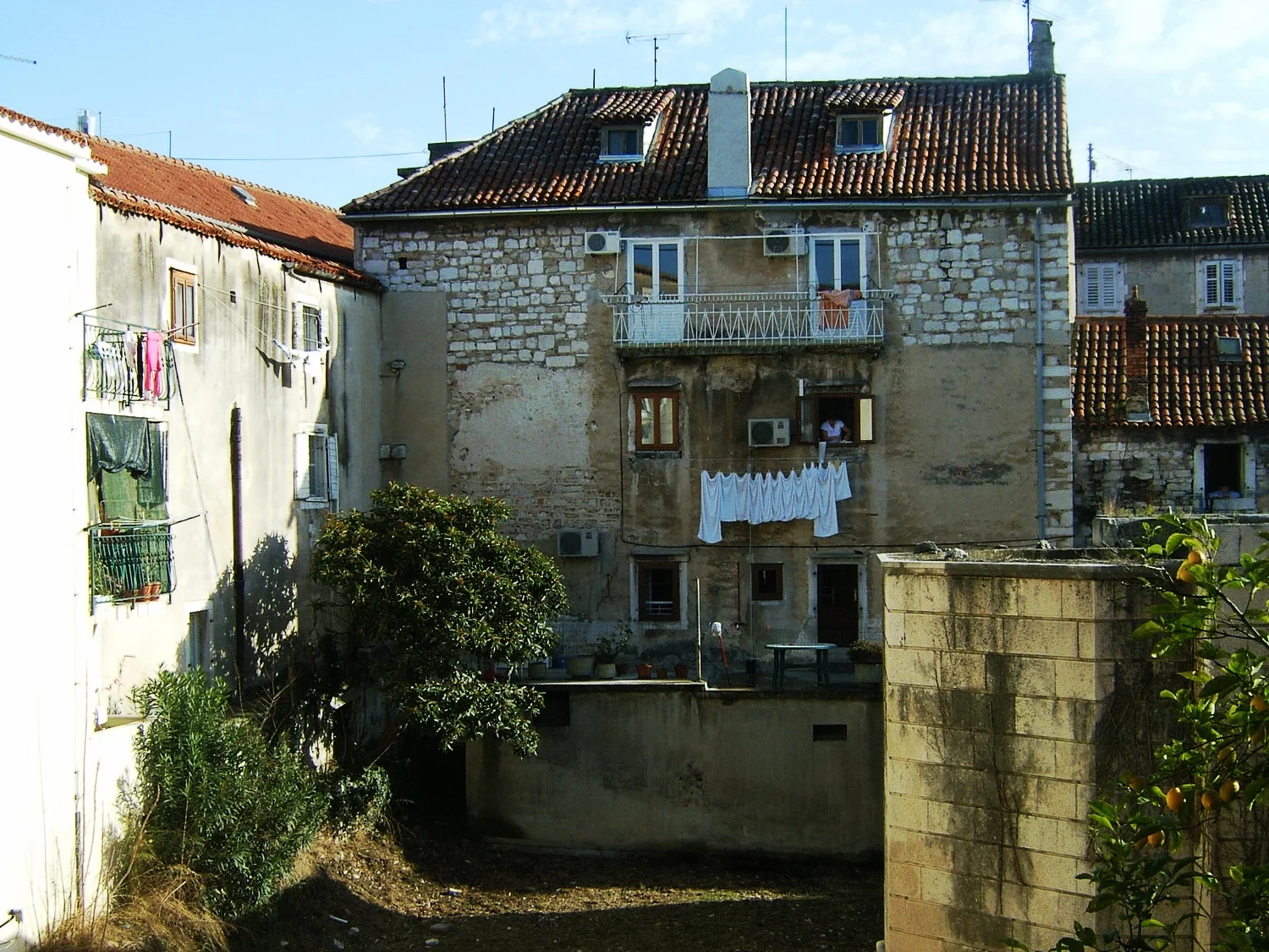 DCAM0448.JPG