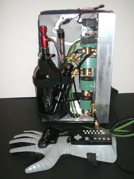 The Backpack and Glove