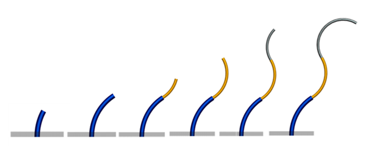 smarTubes