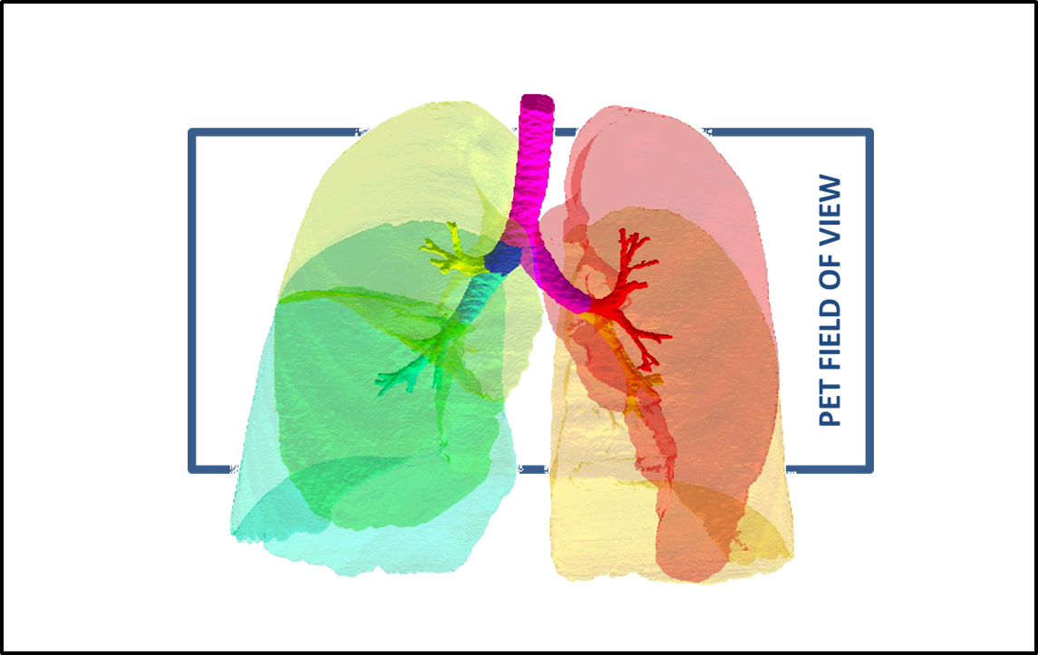 Medical Imaging