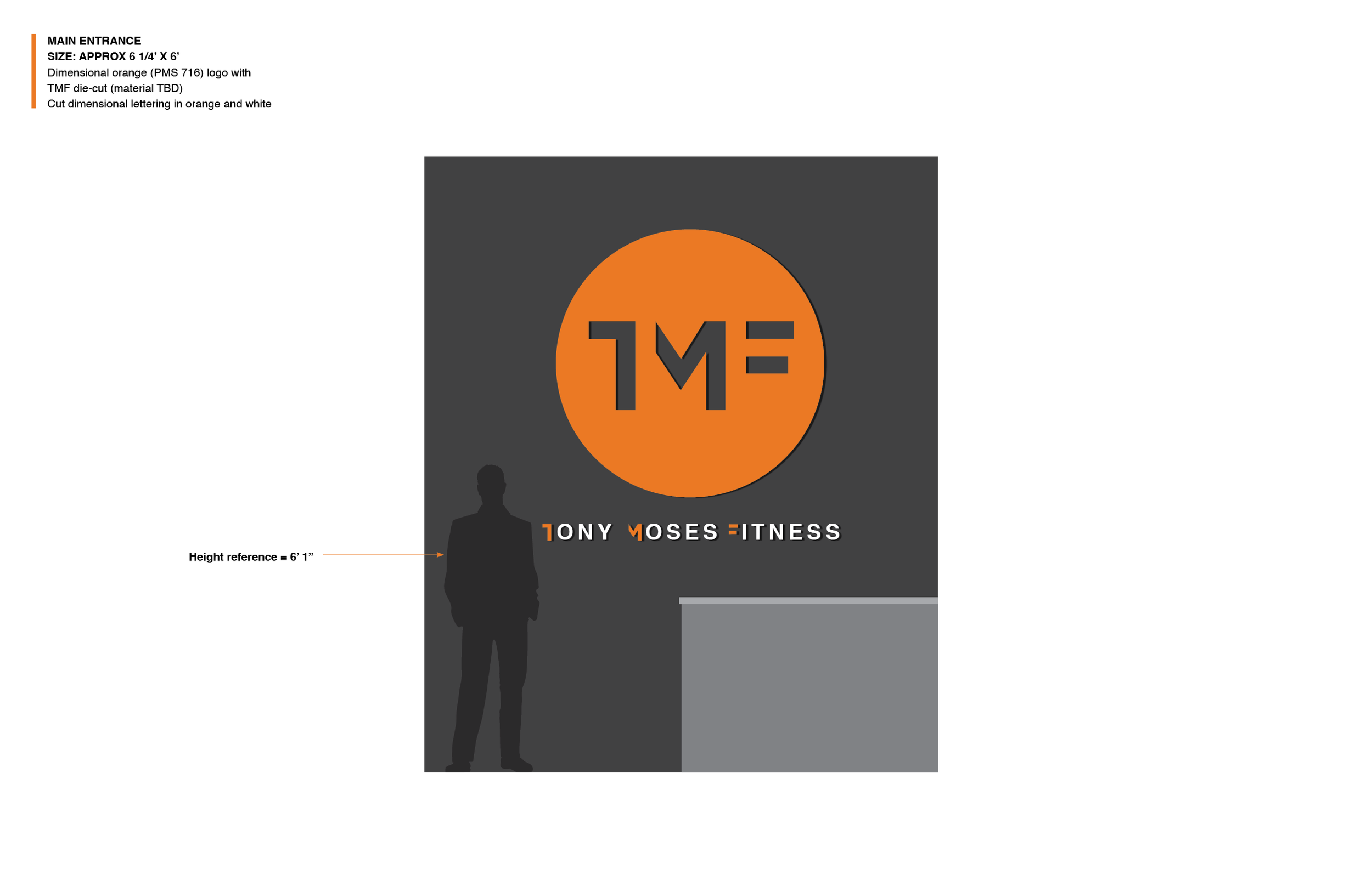 TMF_Studio_Branding4.png