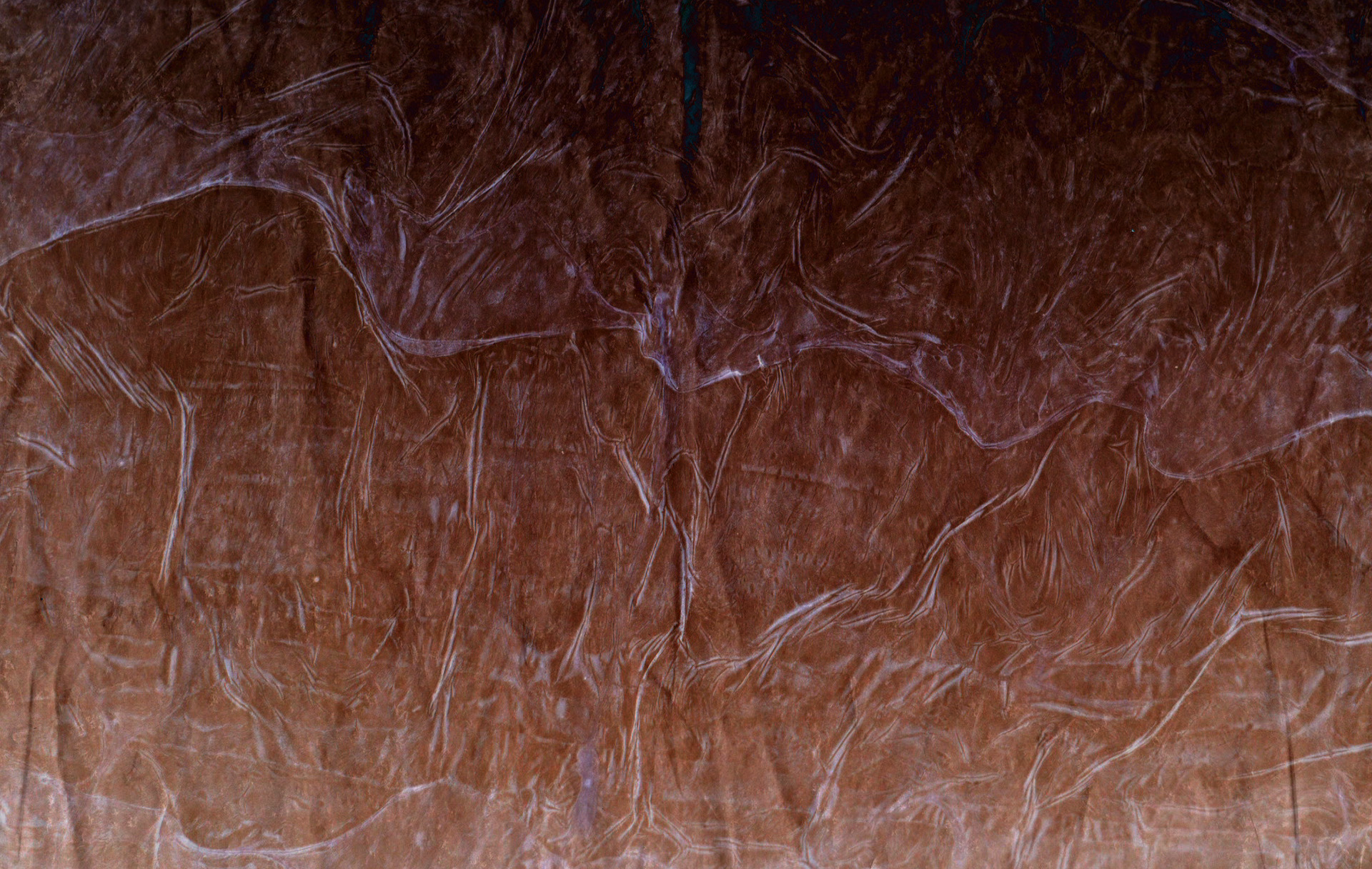 beneath_the_skin_stills_102214_08.png