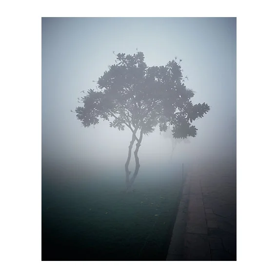 TajGardens003.jpg