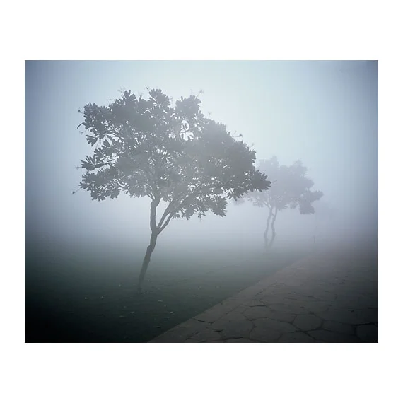 TajGardens001.jpg