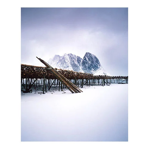 Lofoten-21.jpg