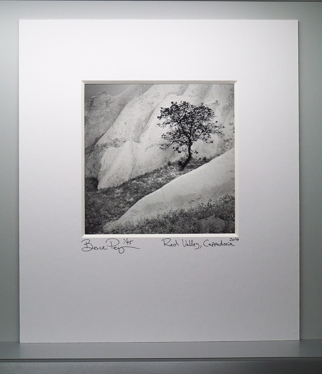 Printed on Museo Silver Rag paper, using Colourburst's RIP Print driver and Pixelgenius capture and output sharpeners