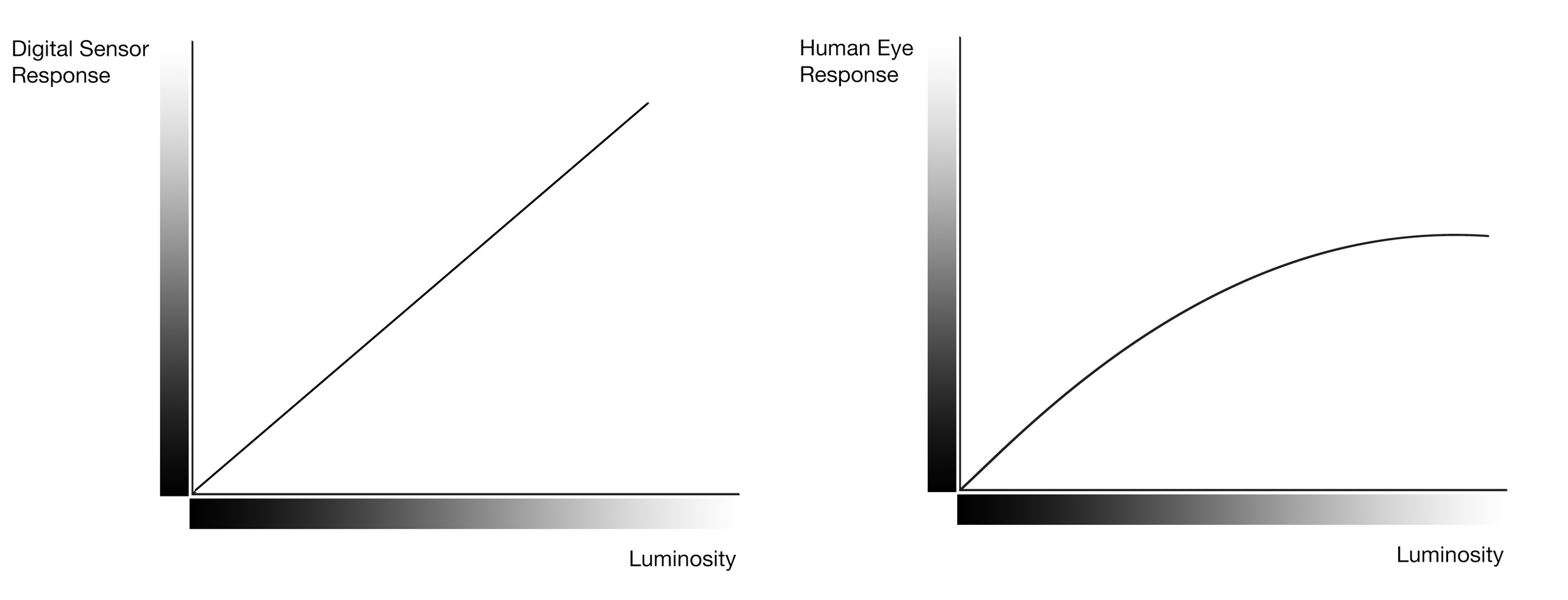 An overly-simplified illustration. It demonstrates that the human eye is not able to perceive differences in real-world tonal values. Our eye tends to compress brighter tones, which is why we need to use grads on digital cameras, because their response is linear, while our response is non-linear.