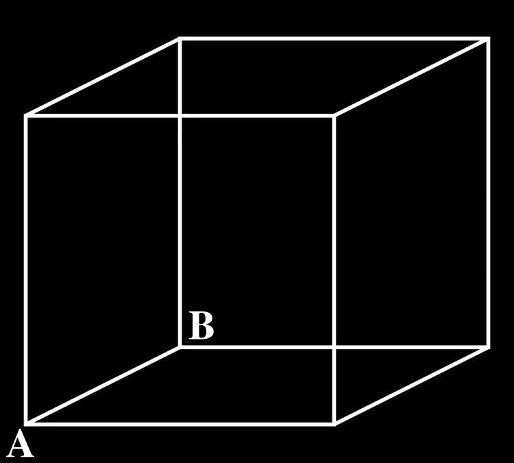 The Necker cube is an optical illusion first published as a rhomboid in 1832 by Swiss crystallographer Louis Albert Necker. If you look at it for a while, you may see the cube in two different ways. Keep looking!